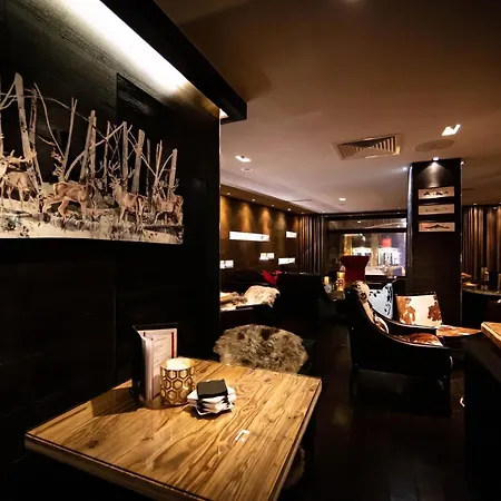 酒店 隆琦林荫道酒店